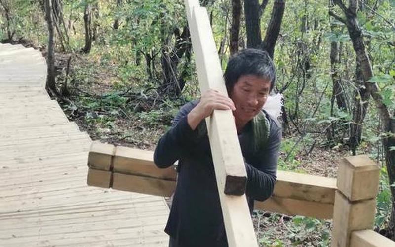 武林立志传攻略(武林立志传攻略详细表)