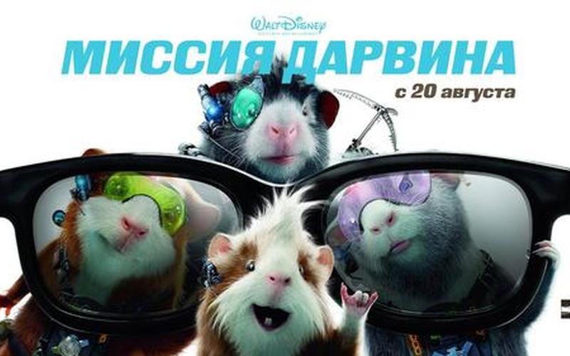  豚鼠特攻队(豚鼠特攻队 霍伊特·耶特曼 在线看)