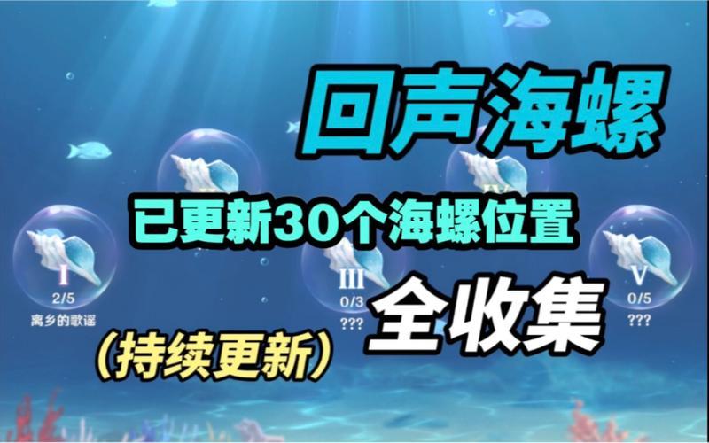  回声海螺(回声海螺如何开启)