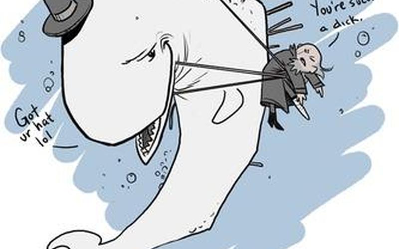  ishmael(ishmael在白鲸中意义)