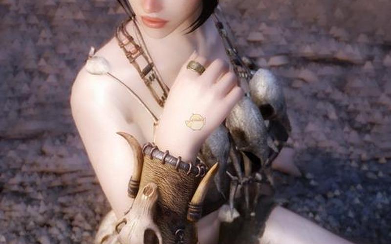  上古卷轴5 3dm(上古卷轴5 3dm头模预设)