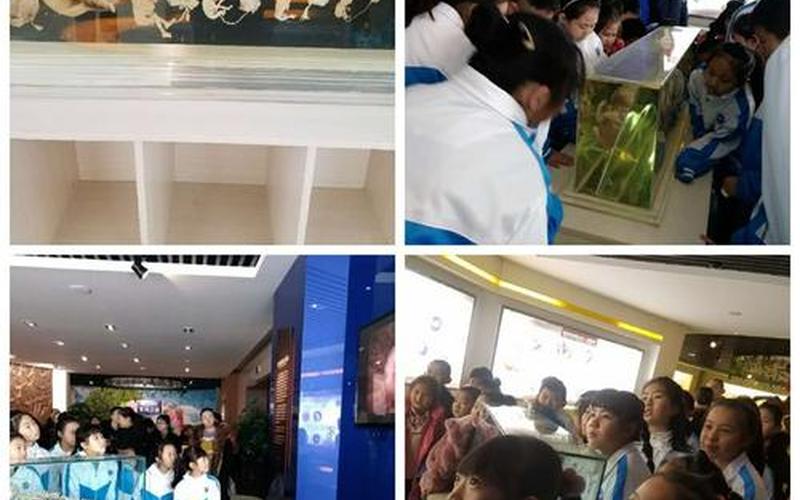 生存之旅-生存之旅1下载