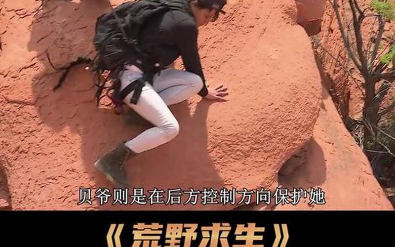  坎贝拉野外冒险_坎贝拉野外冒险2011手机版