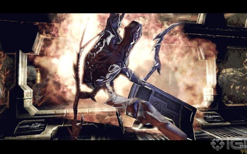  异形繁殖冲击(异形繁殖冲击手机版)