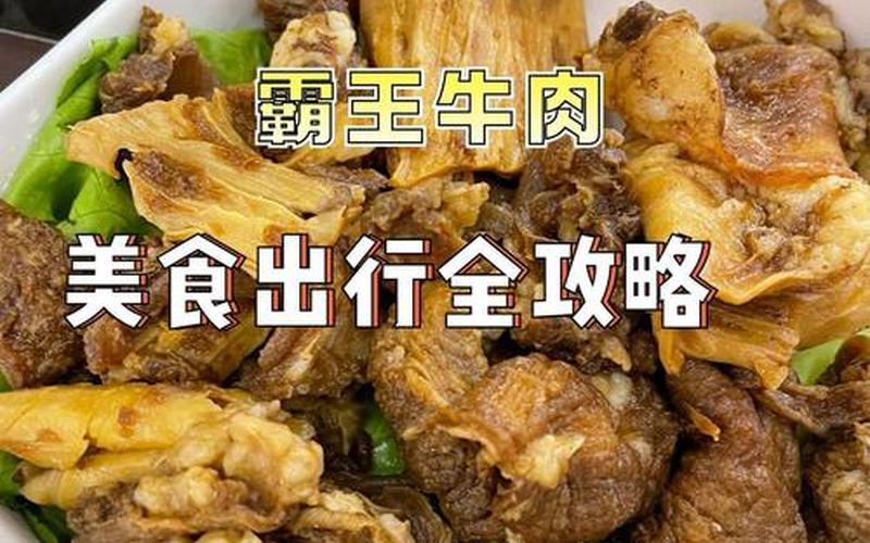 霸王 攻略(霸王1全剧情攻略)