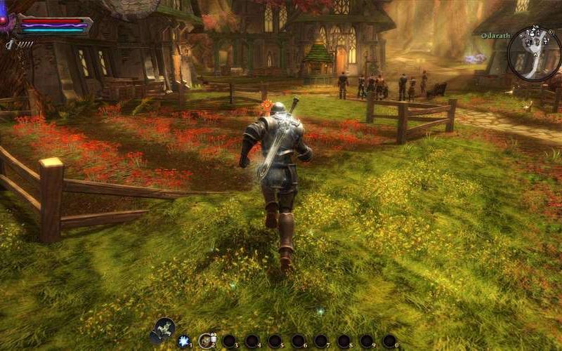  阿玛拉王国背包(阿玛拉王国背包去哪买)