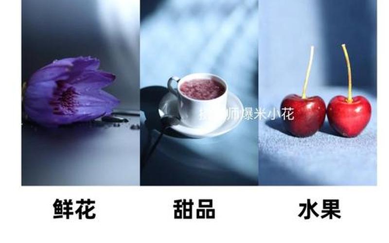  静物攻略(静物游戏攻略)