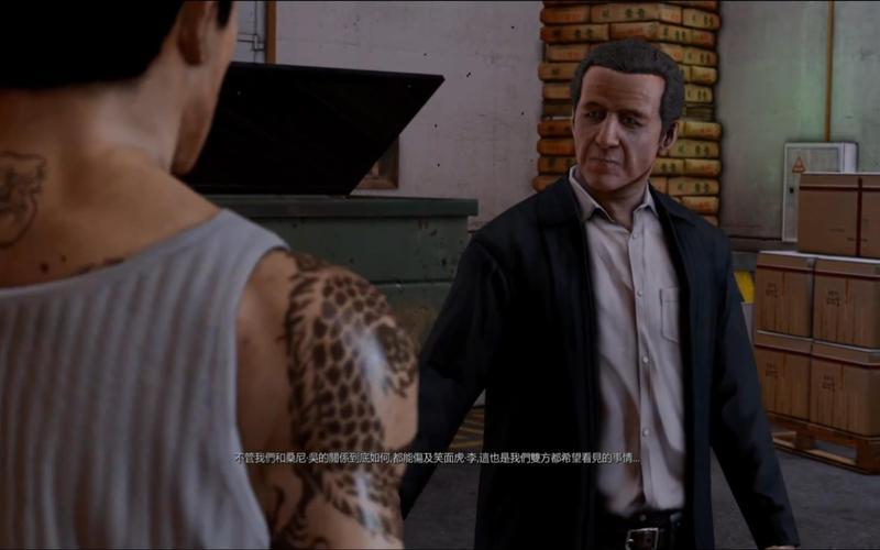  热血无赖花屏(热血无赖终极版花屏)