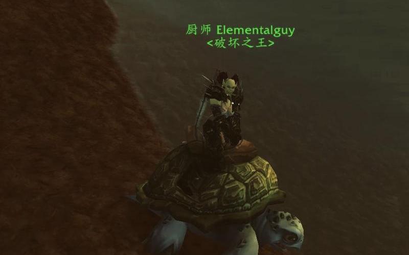 海龟坐骑(海龟坐骑掉率) 海龟坐骑(海龟坐骑掉率)