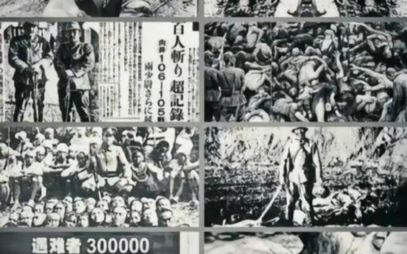  侵略行为(侵略行为有哪些)