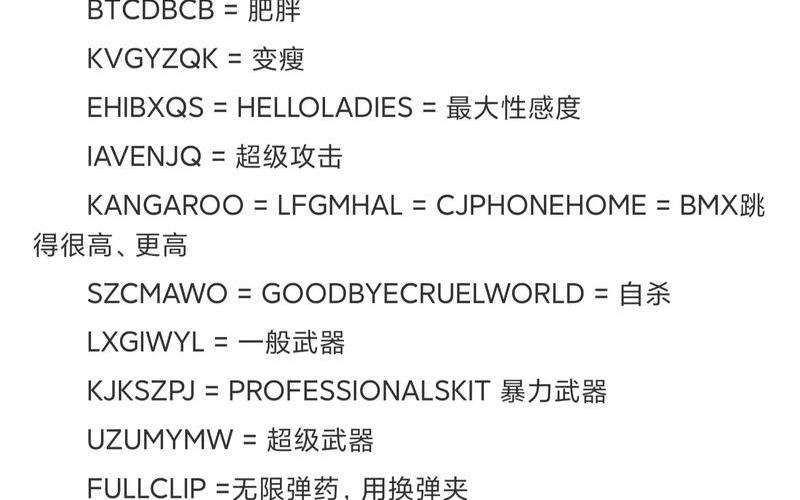 侠盗罗宾汉攻略(侠盗罗宾汉 攻略)