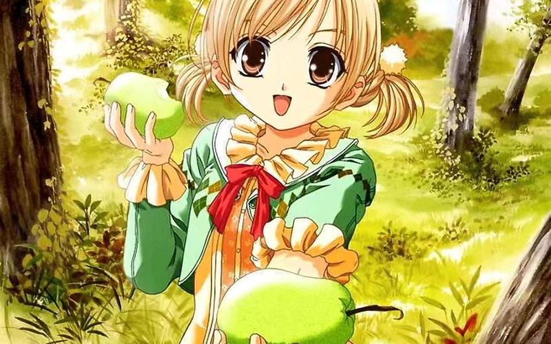  美少女梦工厂4 攻略(美少女梦工厂4攻略龙王子)