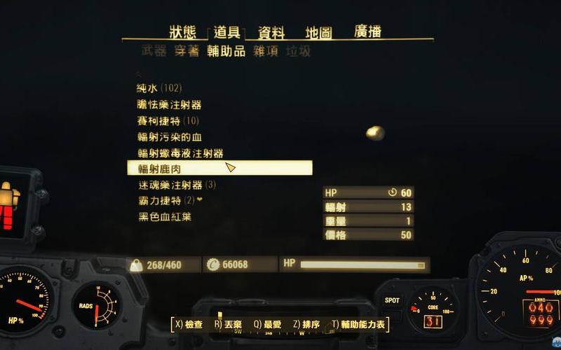  辐射4 攻略(辐射4 攻略技巧)