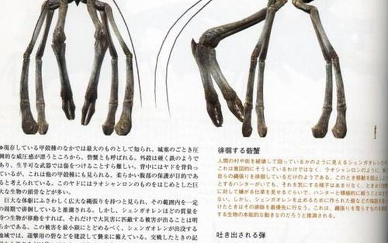  怪物猎人ol砦蟹(怪物猎人ol攻略)