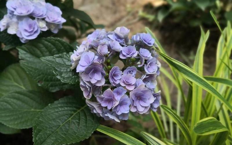  阴影地带(阴影地带手游下载)