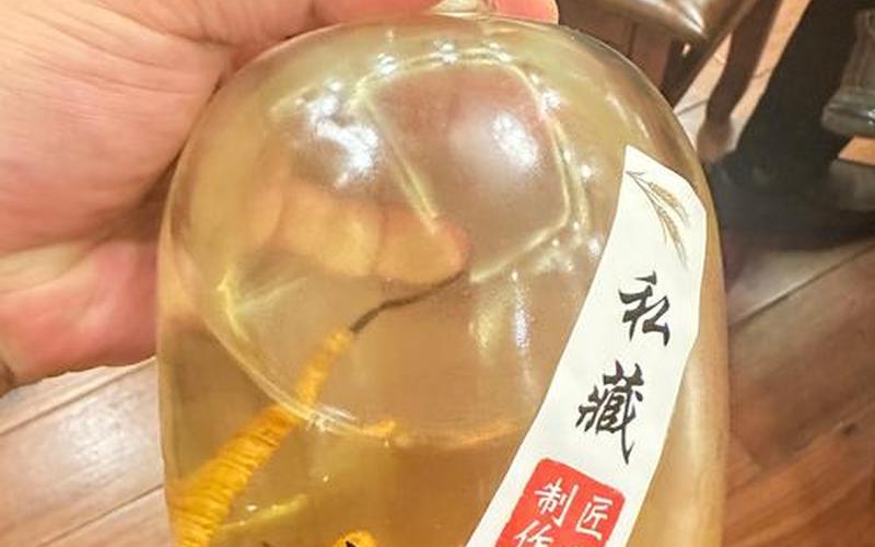  星际管家 虫群之心(星际管家虫群之心地图包)