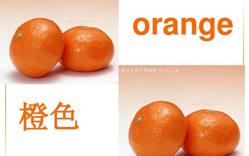  无主之地2橙色武器(无主之地2橙色武器多少级才能刷)