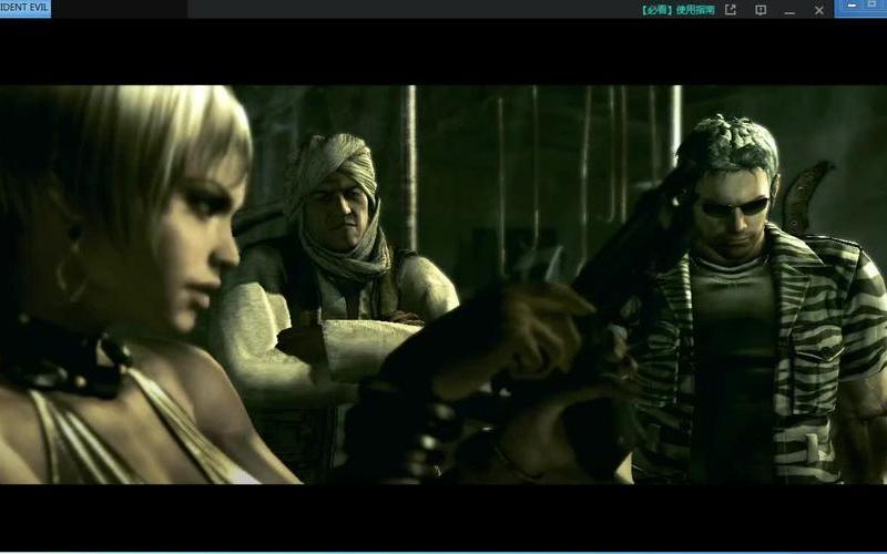  生化5存档(生化5黄金版 存档位置)