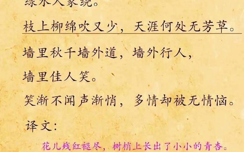  白花恋诗_白花恋诗韩文怎么写