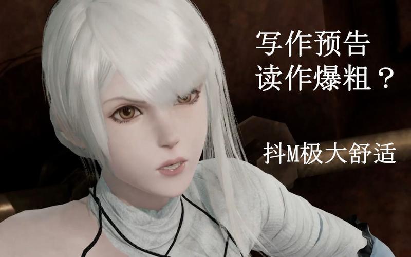  尼尔伪装者(尼尔伪装者攻略)