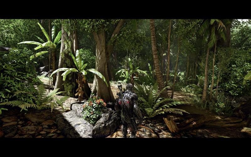  孤岛危机1配置要求(孤岛危机1最低配置要求)