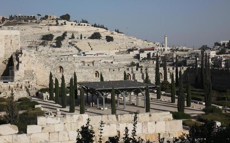  圣城之升龙道3.1(圣城之升龙道3.1攻略)