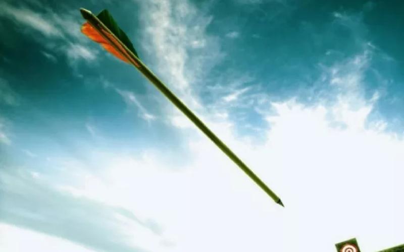  时光之箭(时光之箭简介)