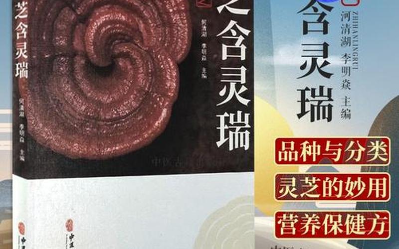  孢子 秘籍(孢子 秘籍 整地工具)