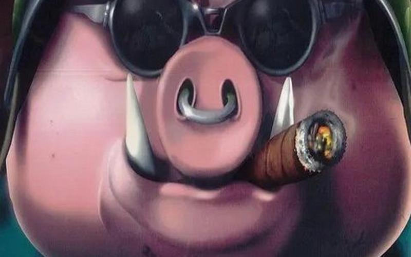  猪兔大战秘籍(猪兔大战重制版秘籍)