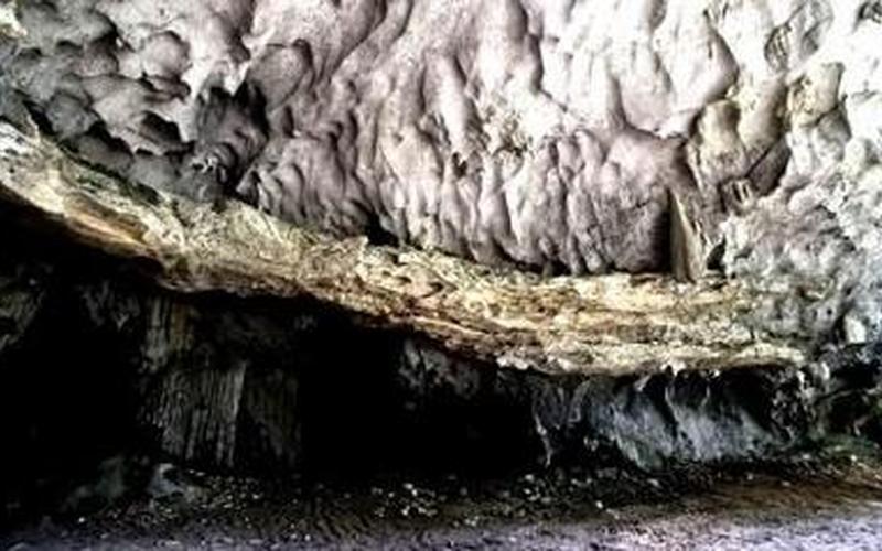 恐惧废土鳄鱼洞(恐惧废土玩具)