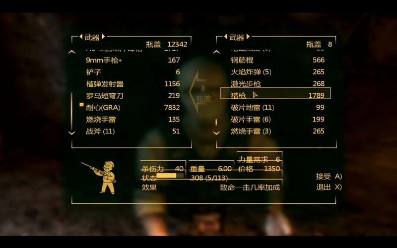 辐射新维加斯带医生_辐射新维加斯开局医生对话选择