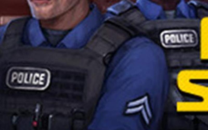 警察故事游戏;警察故事游戏剧情