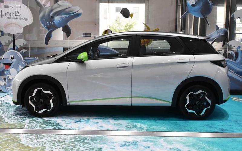  海豚少女(海豚少女指的是什么)