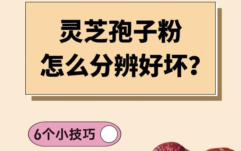 孢子美美丑丑-孢子美美丑丑怎么用