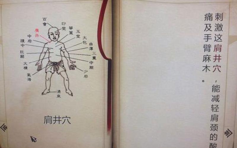  侠客风云传穴位(侠客风云传针灸图)