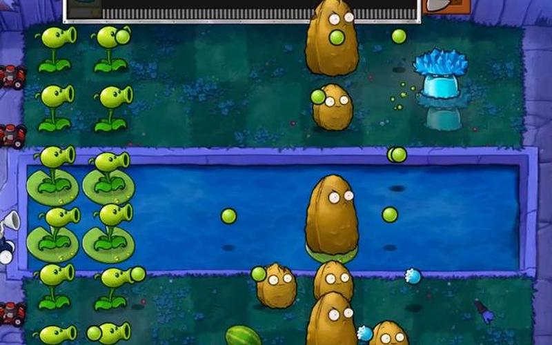  隐形的战争(隐形的战争植物大战僵尸)