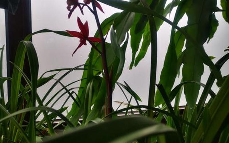  魔法黎明秘籍(魔法黎明秘籍怎么用)