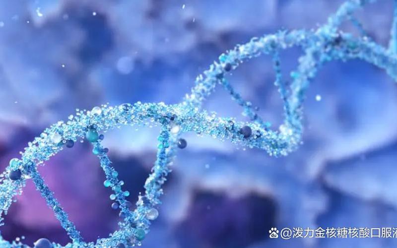  人体伊苏(人体核糖)