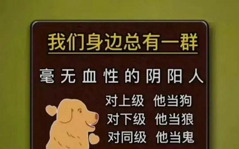  我们身边的狼(我们身边的狼白雪好感度)