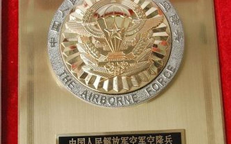  荣誉勋章 空降兵(荣誉勋章 空降兵 屏气)