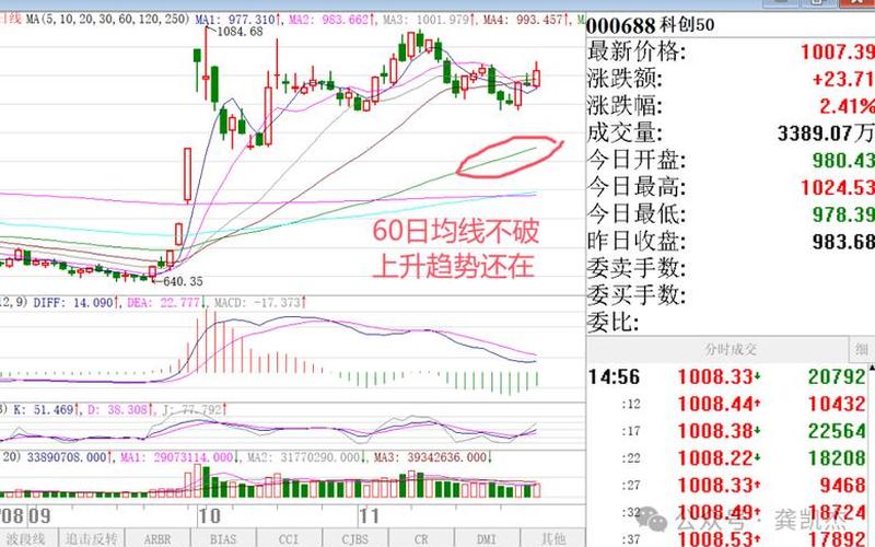 股市开盘前波动正常吗吗(股市开盘前股价波动怎么回事)-第1张图片-树涛168配资网_配资炒股平台及公司_股票配资门户网