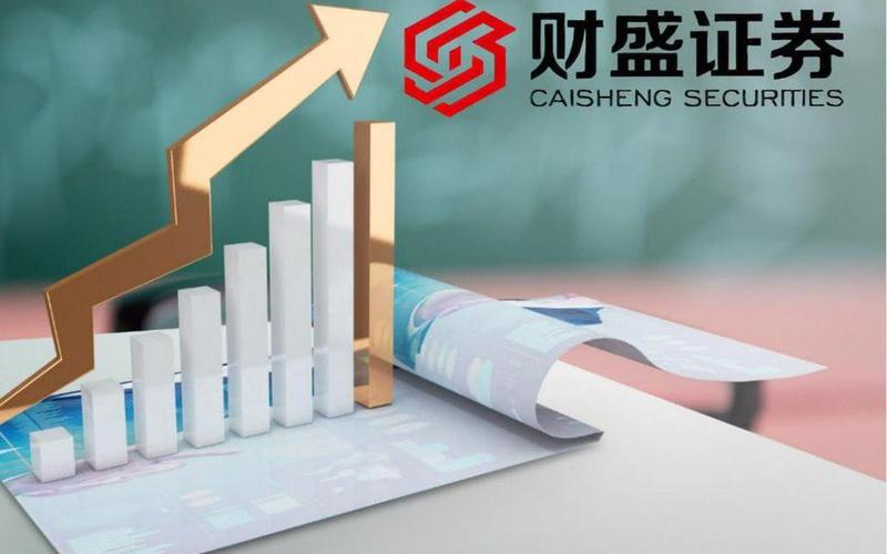 股票配资做t平台(股票配资平台是做什么的)-第1张图片-树涛配资网_配资炒股平台及公司 - 股票配资门户网
