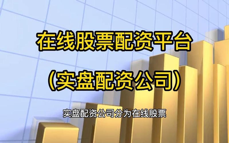 什么叫网络配资平台公司(什么叫网络配资平台公司名称)-第1张图片-树涛配资网_配资炒股平台及公司 - 股票配资门户网