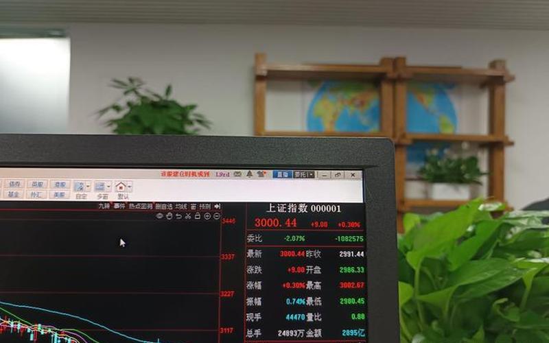 股票配资是怎么配的(股票配资是怎么做到的)-第1张图片-树涛168配资网_配资炒股平台及公司_股票配资门户网