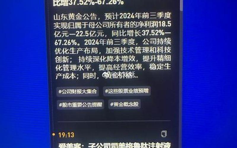 爱美客股票怎么配资买(爱美客股票怎么配资买不了)-第1张图片-树涛配资网_配资炒股平台及公司 - 股票配资门户网