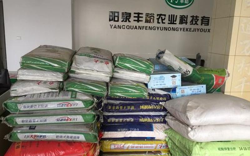 金猪配资公司怎么样(金猪配资正规吗)-第1张图片-树涛168配资网_配资炒股平台及公司_股票配资门户网