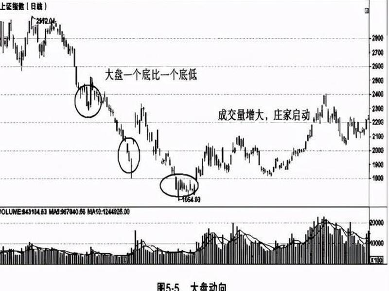 大盘股中盘股小盘股怎么区分(大盘股中盘股小盘股怎么区分图解)-第1张图片-树涛168配资网_配资炒股平台及公司_股票配资门户网