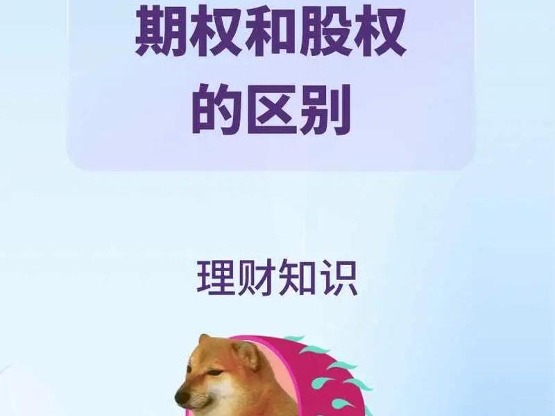 什么是股票期权(什么是股票期权？股票期权有什么特点？)-第1张图片-树涛配资网_配资炒股平台及公司 - 股票配资门户网