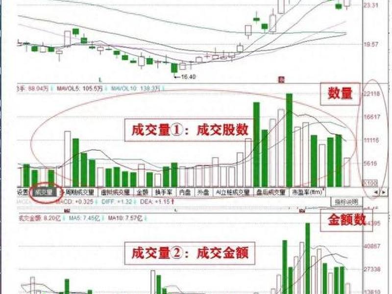股票成交量红绿怎么看(股票成交量红绿数字怎么看)-第1张图片-树涛配资网_配资炒股平台及公司 - 股票配资门户网