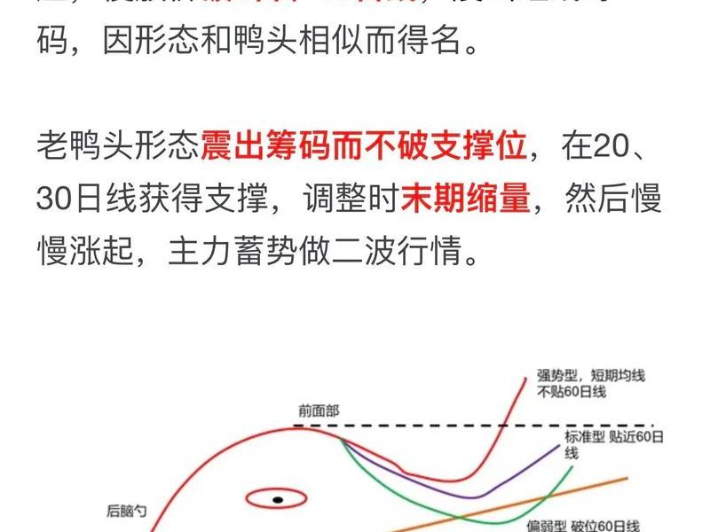 5分钟k线战法(5分钟k线战法短线操作技巧书籍)-第1张图片-树涛配资网_配资炒股平台及公司 - 股票配资门户网